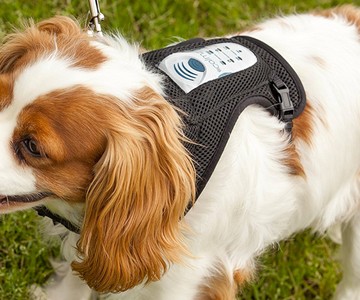 Calmz Anxiety Relief System for Dogs