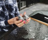 Infinity Cube Luxury EDC Fidget Toy