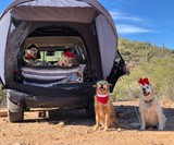 Napier Sportz Cove SUV Tent