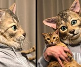 Become Your Cat Mask