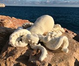 Alfred the Giant Crochet Octopus