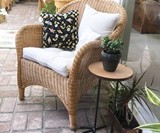 Bird Foot Plant Stand