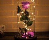 Rosephoria Beauty & the Beast Dome