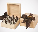 Chocolate Penguins
