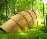 Armadillo Tea Canopy
