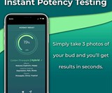 HiGrade Bud Analyzing Scope & Potency Test Kit