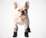 Walkee Paws Waterproof Dog Leggings