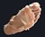 Human Molting Peel Human Molting Peel