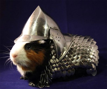 Handmade Guinea Pig Armor