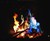 Magical Rainbow Campfire Colorant Magical Rainbow Campfire Colorant
