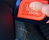 Lilly Brush Pet Hair Remover