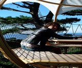Cocoon Tree