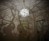 Into the Woods Projection Light