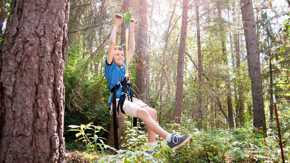 Viper Deluxe Backyard Zip Line Kit Viper Deluxe Backyard Zip Line Kit