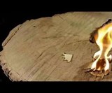 Wazoo Survival Gear Kindling Gift Card