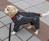 Dog Overalls