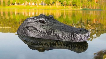 Remote Control Crocodile Head