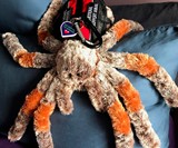 Emotional Support Stuffed Animals
