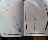 The Big Coloring Book of Vaginas