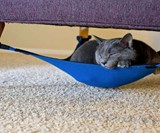 The Cat Crib