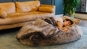 Plufl: The Dog Bed for Humans Plufl: The Dog Bed for Humans