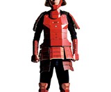 Cardboard Samurai Costume