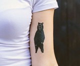 Tattly Designer Temporary Tattoos