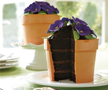 Blooming Flower Pot Cake