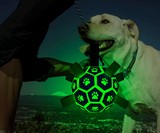 Dog Soccer Ball with Grab Tabs