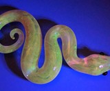 Eicher Glass Handblown Glass Snakes