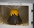 Eruption Disruption Volcano Microwave Cleaner Eruption Disruption Volcano Microwave Cleaner