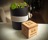 What to Eat Food Dice