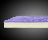 The Purple Bed