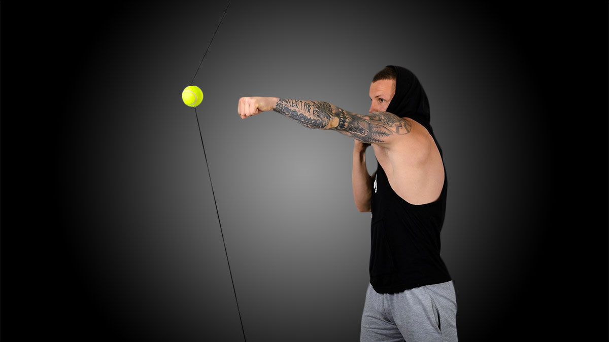 Boxing Speed Ball Boxing Speed Ball