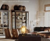 Edison Bulb Essential Oil Diffuser