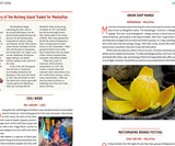 Gastro Obscura: A Food Adventurer's Guide