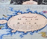 Mandelmap Poster