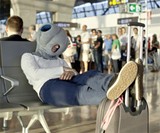 Ostrich Pillow