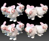Bubonic Bunny Hoppers