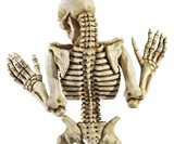 Ascending Evil Climbing Skeleton Wall Sculpture
