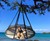Flying Saucer Hanging Hammock Chair