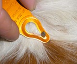 Tick Key for Tick Removal