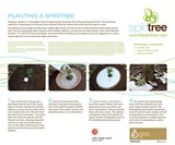 Treeincarnation: From Ashes to Spiritree
