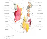 The Reverse Coloring Book