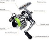 Lixada Pen Fishing Rod & Reel Set