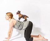 Goat Yoga Party Game