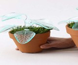 Lamp Plants