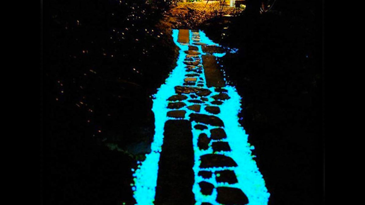Glowing Pebbles for Walkways, Gardens & Home Decor Glowing Pebbles for Walkways, Gardens & Home Decor