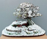 Bilbo Baggins Bonsai Home