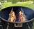 Pit Barrel Cooker Pit Barrel Cooker